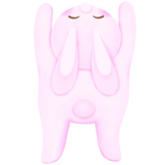 Rabbit-2