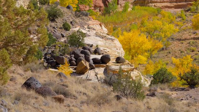 Establishing shot of mountain trail with red rocks in Hickman Natural Bridge Trail, Capital Reef National Park, Utah, North America. ProRes 422 HQ.