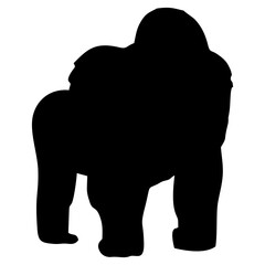 black gorilla silhouette on white background