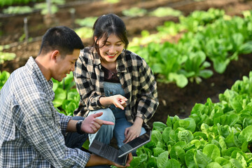 Smiling male and female famers tracking quality inspection of green lettuce on digital tablet