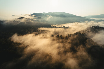 Fototapeta premium Foggy sunrise in the mountains in summer