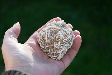 A close up image of a hand holding a desert rose selenite crystal with a green grass background.