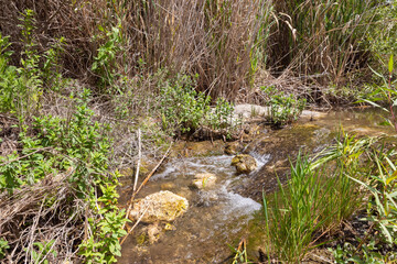Naklejka na ściany i meble The El Al stream flows in the El Al National Nature Reserve located in the northern Galilee in the North of Israel