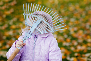 Little toddler girl working with rake in autumn garden or park. Adorable happy healthy child having...