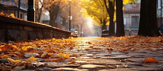 Late autumn streets, sunlit sidewalks. Close-up sidewalk view.