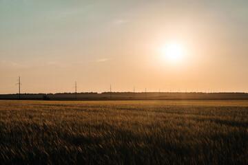 electric poles at sunset in the field