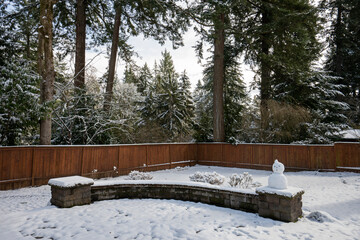 Snow-covered backyard in a wooded suburban area on a cold winter day.