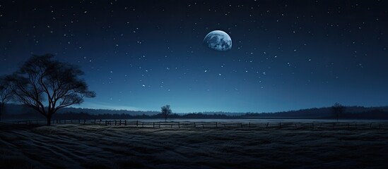 Moonlit countryside with nightfall and shadowy trees.