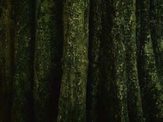 A tree trunk with a beautiful intricate design and texture of the bark, divided into vertical segments. A nature inspired background with a dark and moody tone.
 - obrazy, fototapety, plakaty