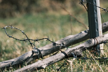 壊れた柵　放牧地