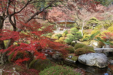 三室戸寺の紅葉