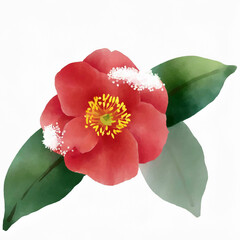 椿の花と雪
