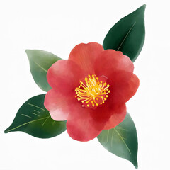 椿の花