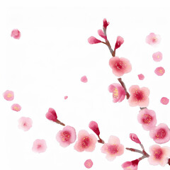 梅の花