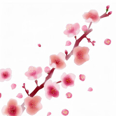 梅の花