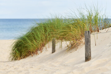 Zaun an einer Düne an der Ostseeküste, Insel Rügen, Deutschland