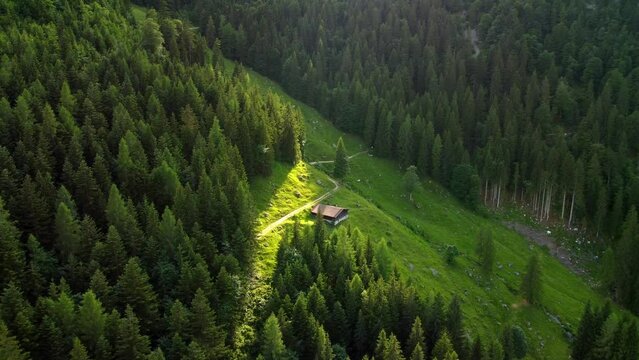 Small hut surrounded b green fields and a forest during sunset in the Alps in Lofer, Austria.