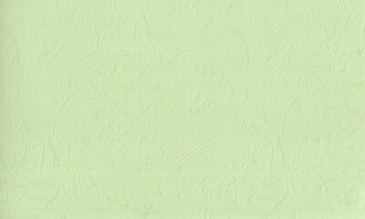 Paper photo with light green background texture