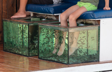 A girl on her feet is peeling fish in an aquarium