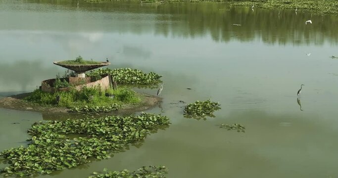 Plants Grown On Disused Fountain in Spile Lake With Waterbirds. Osage Township, Missouri. aerial sideways, ascending shot