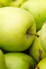 Lots of green apples. Health, vitamins and eco products. Close-up. Vertical.