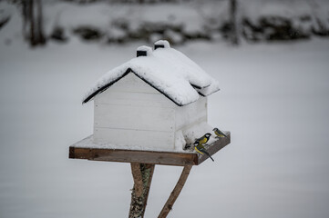 Bird feeder miniature house a cold winter day