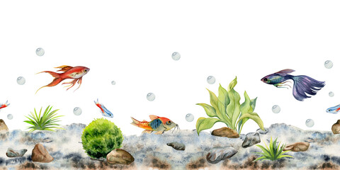 Hand drawn watercolor aquarium fish, algae and sealife. Marine exotic underwater illustration. Seamless border isolated on white background. Design for shops, brochure, print, card, wall art, textile. © Elena