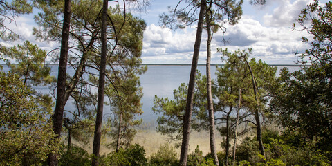 Fototapeta na wymiar french lake in dune sand beach Maubuisson Carcans pines trees forest in gironde France