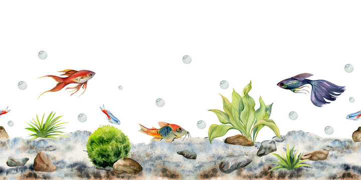 Hand drawn watercolor aquarium fish, algae and sealife. Marine exotic underwater illustration. Seamless border isolated on white background. Design for shops, brochure, print, card, wall art, textile.