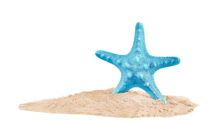 Fototapeta na wymiar blue starfish stands in the sand. highlighted on a white background