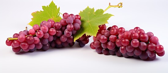 Varieties of Grapes found in Italy: Ruby and Benitaka. - obrazy, fototapety, plakaty
