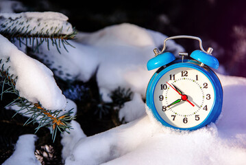 The alarm clock stands on the snow-covered branches of a fir tree
