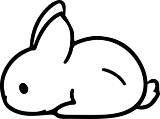 cute rabbit Doodle style hand drawn style black art line illustration. Happy Easter day bunny pose outline sketch icon on transparency