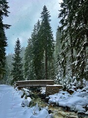 Das Schwarzwassertal zwischen ünhaide und Pobershau im Erzgebirge