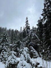 Das Schwarzwassertal zwischen ünhaide und Pobershau im Erzgebirge