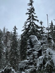 Das Schwarzwassertal zwischen ünhaide und Pobershau im Erzgebirge