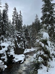 Das Schwarzwassertal zwischen ünhaide und Pobershau im Erzgebirge