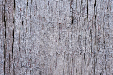 Wooden planks wall texture abstract for background
