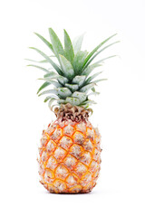 Pineapple fruit Isolated