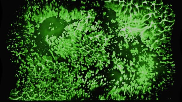 Forme abstrait verte onduleuse