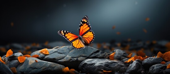 background, amidst the abstract patterns of nature, a vibrant orange Monarch butterfly gracefully flutters its wings, its vibrant color like a pop of color against the grey rocks.