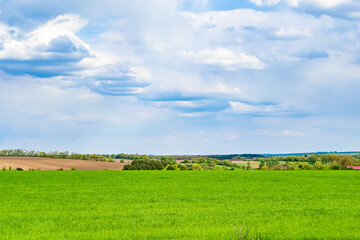 Beautiful horizon scenery in village meadow on color natural background