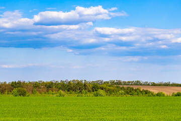 Fototapeta premium Beautiful horizon scenery in village meadow on color natural background