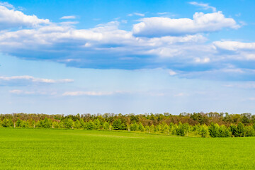 Beautiful horizon scenery in village meadow on color natural background