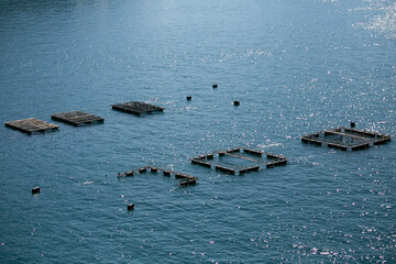Fish farms located in Ine bay in the beautiful fishing village of Ine in north of Kyoto.