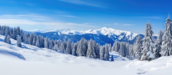 Obraz premium Winter mountain landscape in Carinthia, Austria with snow, pine forest, and clear sky.