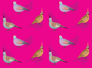 Bird Crested Pigeon Bronzewing Cartoon Cute Seamless Wallpaper Background