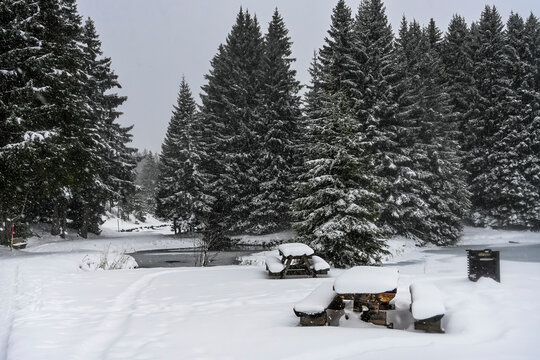 Lenzerheide, Valbella, Heidsee, Bergsee, Uferweg, Wanderweg, Winterwanderung, Holzbank, Winterlandschaft, Seeufer, Alpen, Wald, Tannen, Eis, Schneefall, Schneeflocken, Winter, Graub&uuml;nden, Schweiz