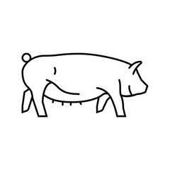 yorkshire pig breed line icon vector. yorkshire pig breed sign. isolated contour symbol black illustration © vectorwin