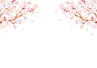 Obraz na płótnie Canvas 手書きの桜の木の背景イラスト
